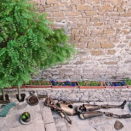 Assosyal Hotel