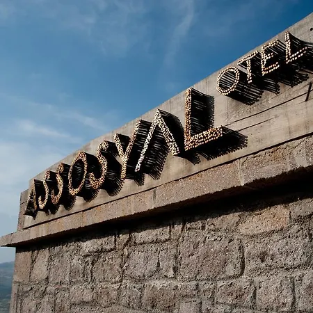 Hotel Assosyal