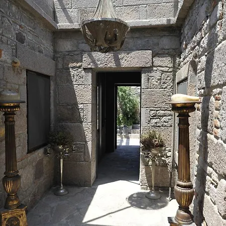 Assosyal