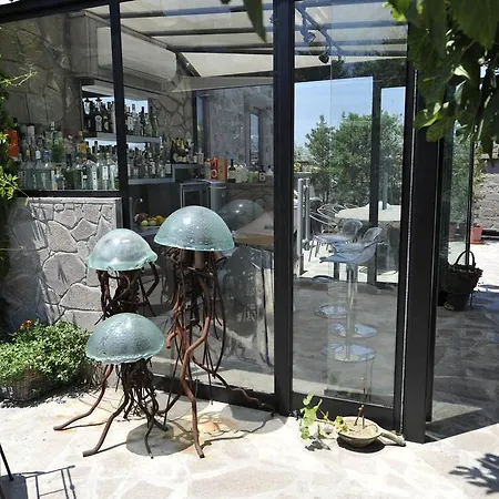 Hotell Assosyal
