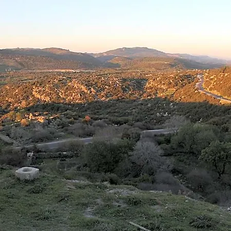 Assosyal * Assos